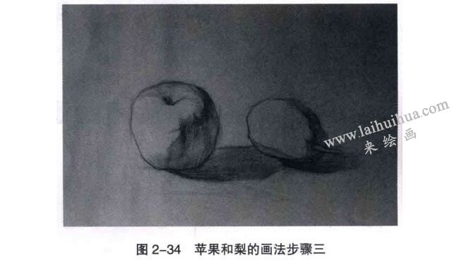 蘋果和梨組合素描畫法步驟03