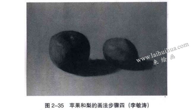 蘋果和梨組合素描畫法步驟04