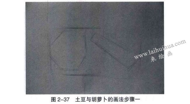 土豆與胡蘿卜素描畫(huà)法步驟01