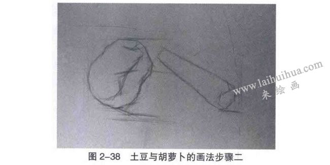 土豆與胡蘿卜素描畫(huà)法步驟02