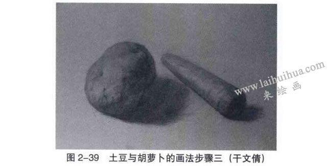 土豆與胡蘿卜素描畫(huà)法步驟03