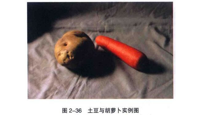 土豆與胡蘿卜素描畫(huà)法