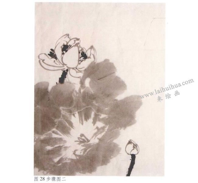 《墨荷》水墨畫法步驟02