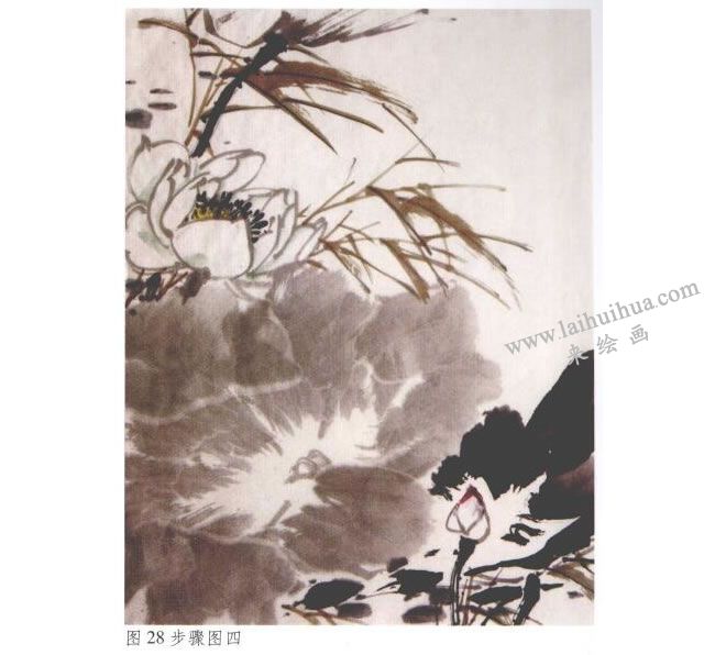 《墨荷》水墨畫法步驟04