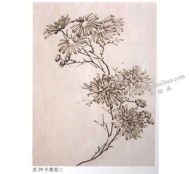 《墨菊》水墨畫法步驟02