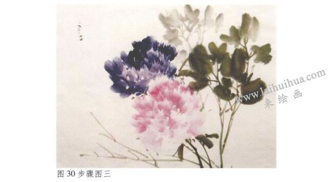 《牡丹》水墨畫法步驟03