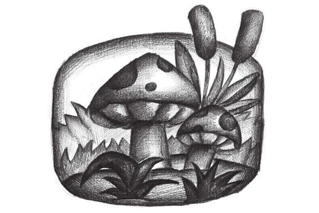 蘑菇創(chuàng)意素描畫法