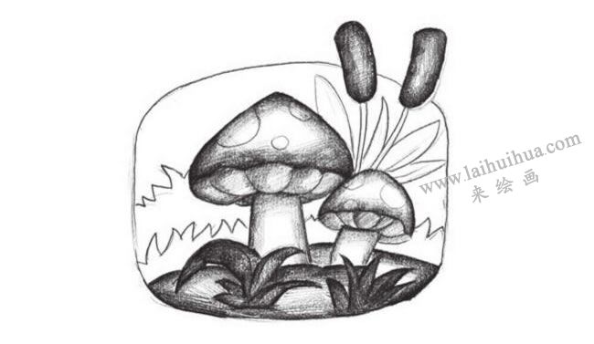 蘑菇創(chuàng)意素描畫法步驟03
