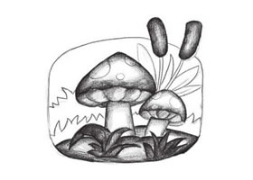 蘑菇創(chuàng)意素描畫法