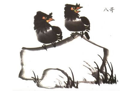 八哥兒童水墨畫法