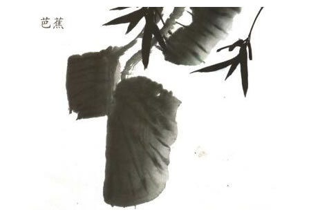 芭蕉兒童水墨畫法