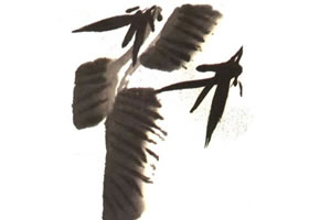芭蕉兒童水墨畫法