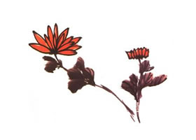 菊花兒童水墨畫法