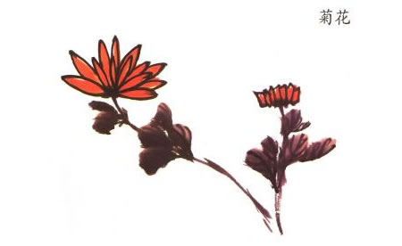 菊花兒童水墨畫法
