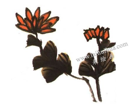 菊花兒童水墨畫法創(chuàng)作步驟04