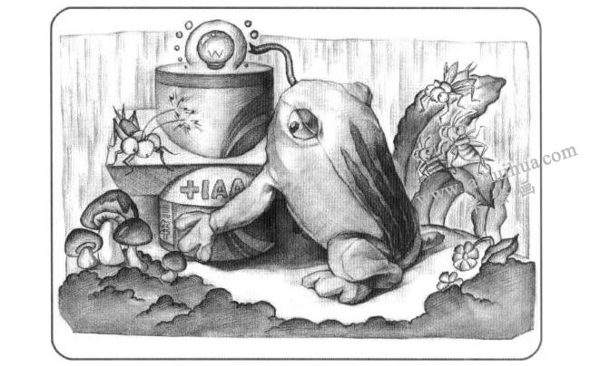 青蛙與石膏組合體兒童創(chuàng)意素描畫法步驟04