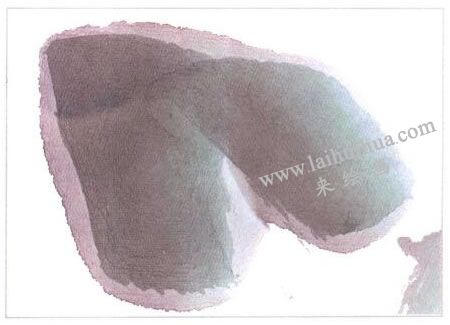 水墨畫(huà)食用膠水調(diào)色法