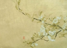 工筆畫《微塵》創(chuàng)作步驟