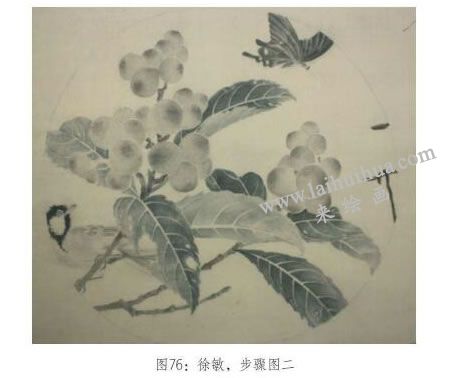 工筆畫《琵琶山鳥圖》臨摹步驟：分染