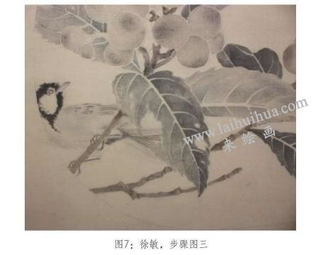 工筆畫《琵琶山鳥圖》臨摹步驟：深入刻畫
