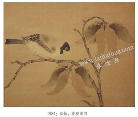 工筆畫《梧桐蠟嘴圖》臨摹繪制步驟：開粉絲毛