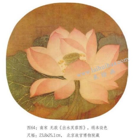 出水芙蓉圖