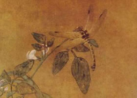《豆花蜻蜓圖》
