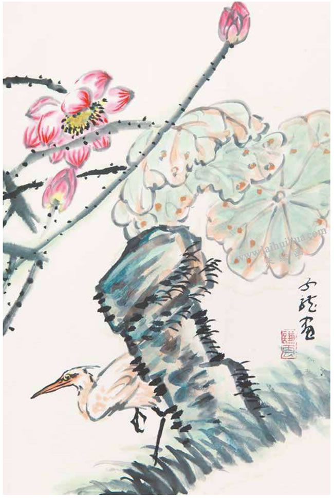 荷塘白鷺