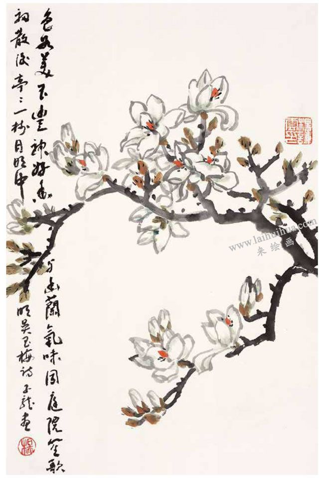 玉蘭花