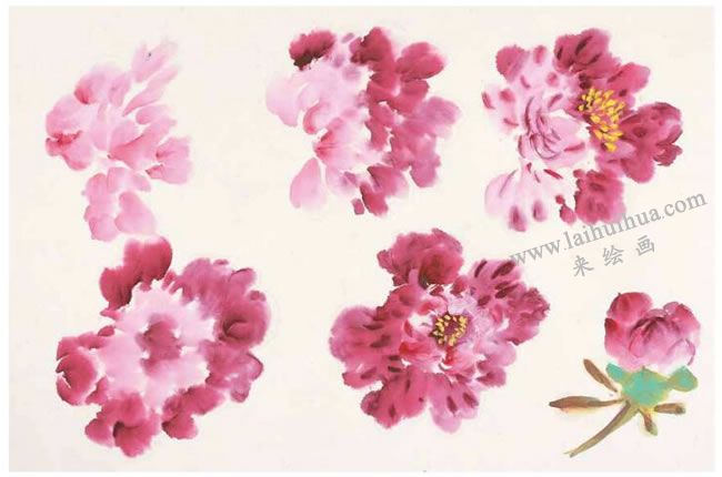畫(huà)牡丹花頭的畫(huà)法