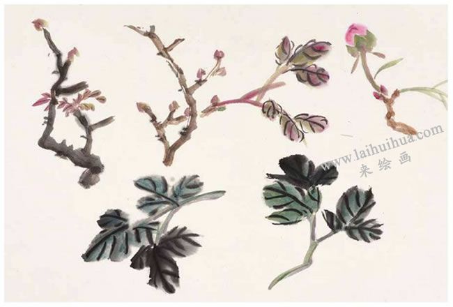 牡丹花葉的畫(huà)法