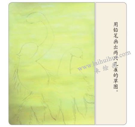孔雀開屏水粉畫法步驟02