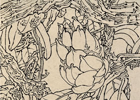 王瑛《馬纓杜鵑》白描花卉寫生作品