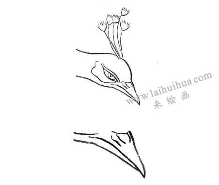 孔雀嘴白描手法