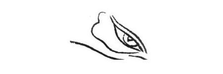 孔雀眼白描畫法