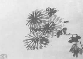 八大山人墨菊圖