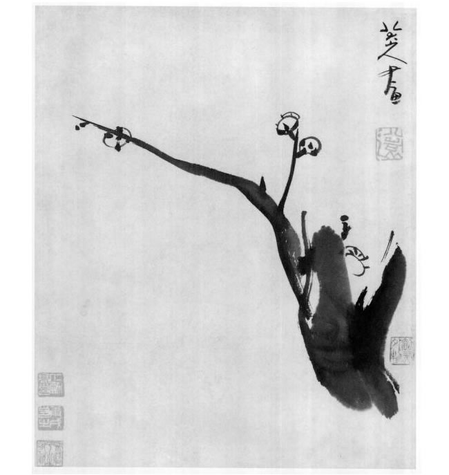 八大山人梅花圖