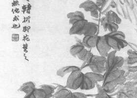 趙之謙菊花圖