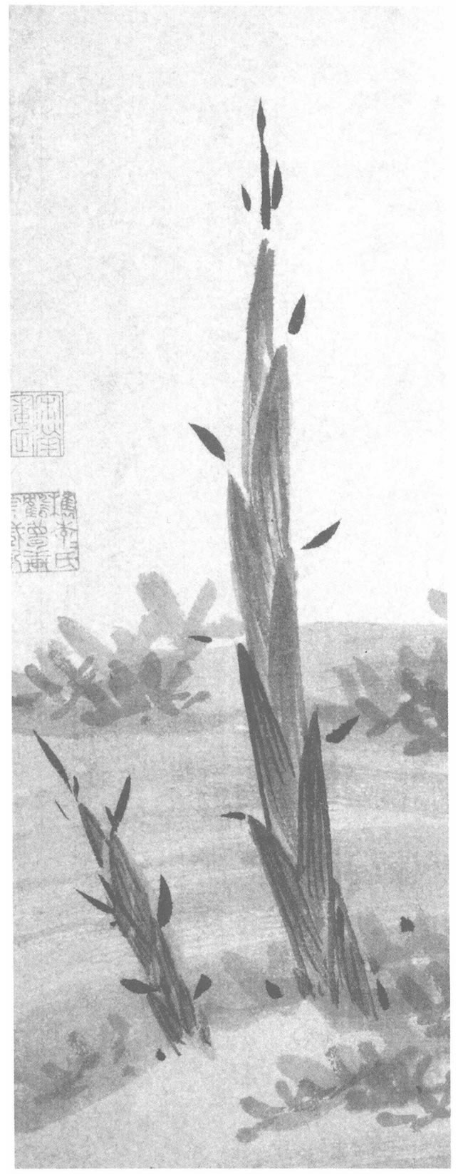 竹筍的水墨畫(huà)法