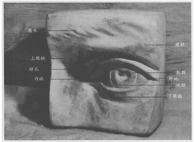石膏眼睛素描畫法