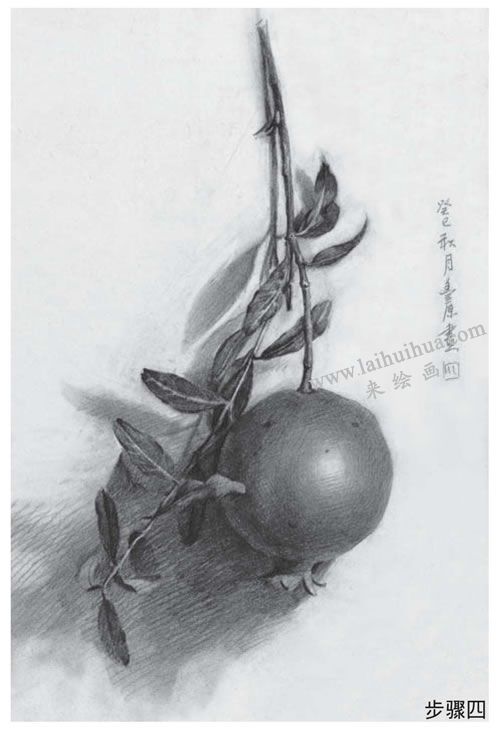 石榴素描畫法步驟04