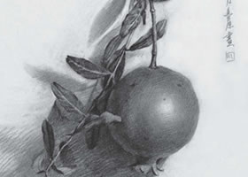 石榴素描畫法
