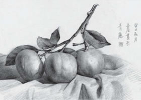 橘子素描畫法（一）