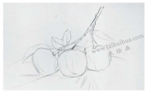 橘子素描畫法步驟01