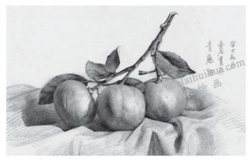 橘子素描畫法步驟04