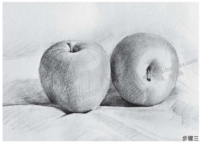 蘋果組合素描作畫步驟03