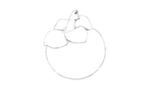 山竹素描畫法步驟01
