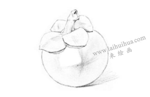 山竹素描畫法步驟02