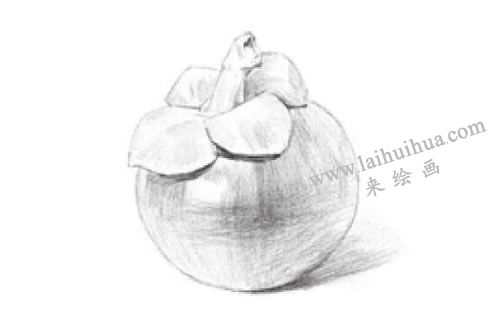山竹素描畫法步驟03
