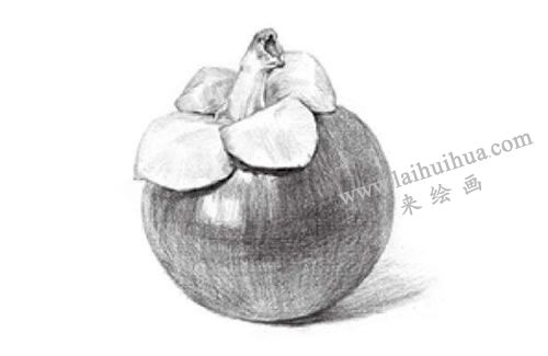 山竹素描畫法步驟04